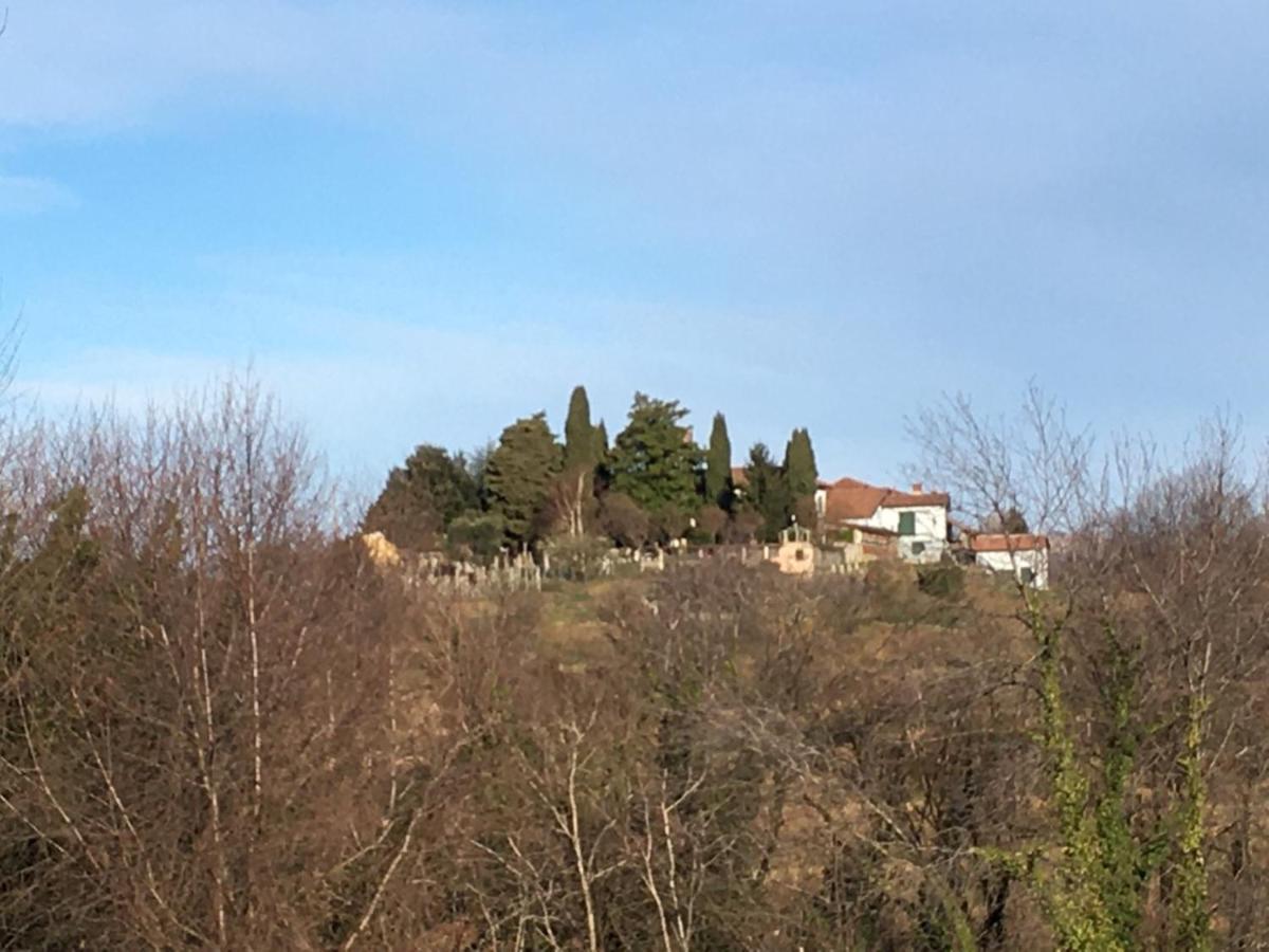 The Montevecchia Home - Frida Apartment Экстерьер фото